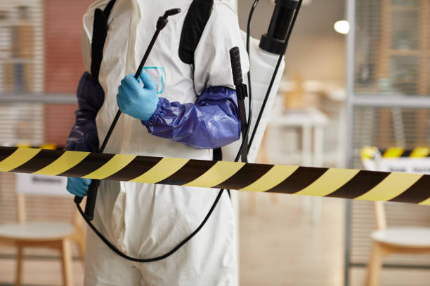 Professional Hoarding Cleanup technician working in Malverne, NY
